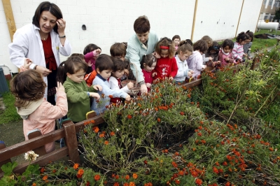 La consellería de Educación certifica la actividad de los coordinadores de trabajos Voz Natura