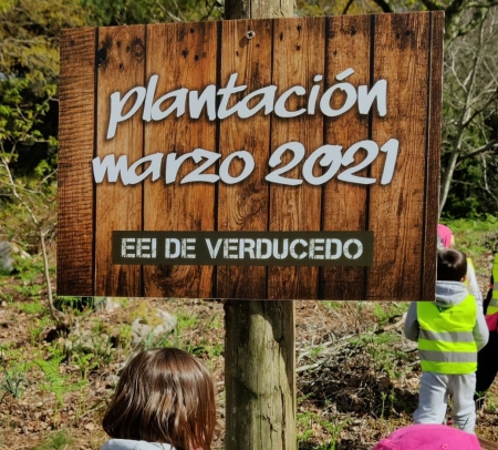 Reforestando en Moaña