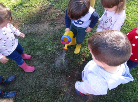 Árboles para la escuela