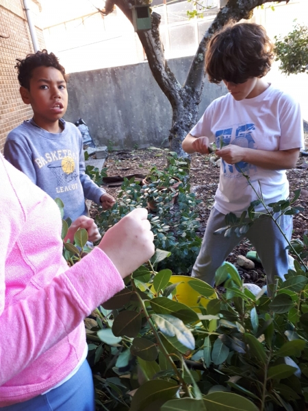 Plantando en Velle