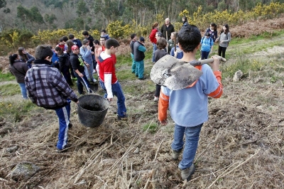 Reforestación no monte do Salgueiral