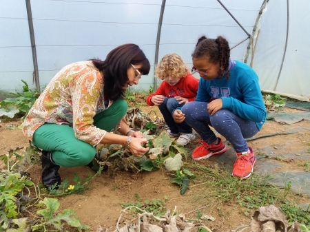 El CEIP Santa Rita recoge su cosecha