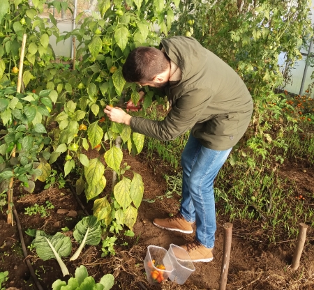 Plantando por unha boa causa