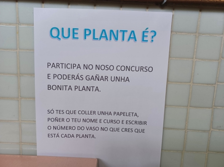 ¿Qué planta es?