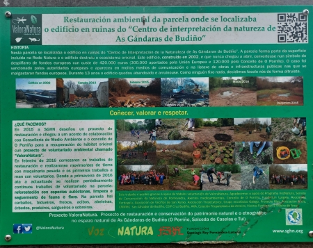 Restauración ambiental