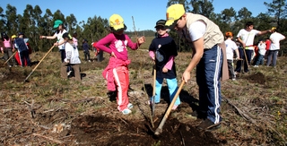 Voz Natura encara o final dun curso con proxectos de gran impacto social