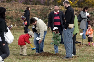 As escolas infantís de Galicia reforestan e reciclan