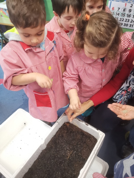 Facendo compost para a horta