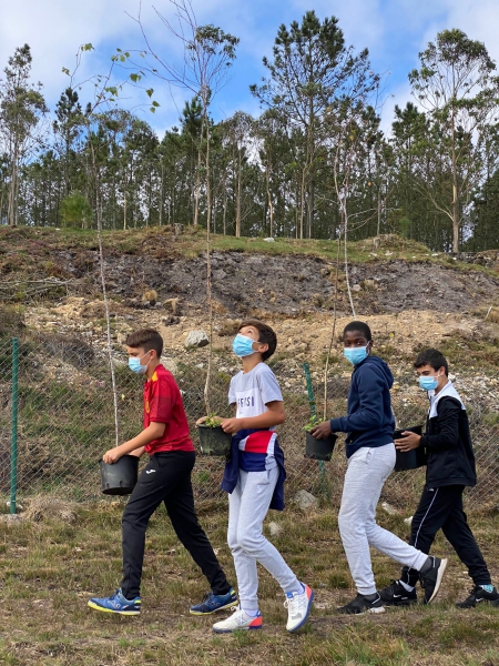 Plantando en Monte Castelo