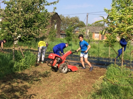 Traballando na horta