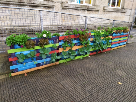 Patios más verdes