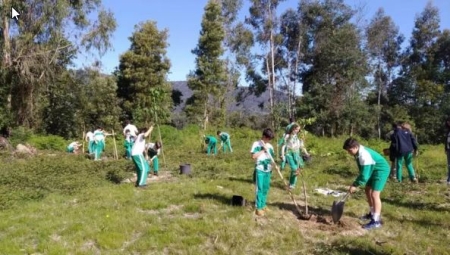 La energía de Los Sauces para potenciar su Ecoauditoría escolar