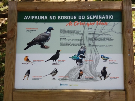 La avifauna del Seminario Menor