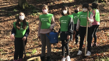 Los alumnos del Curros Enríquez, de Celanova, siguen mimando la carballeira que recuperaron