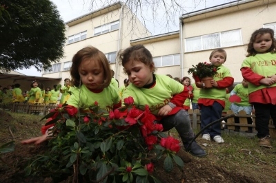 Voz Natura celebró el Día del Árbol en el CEIP Gregorio Sanz, de Ribadeo