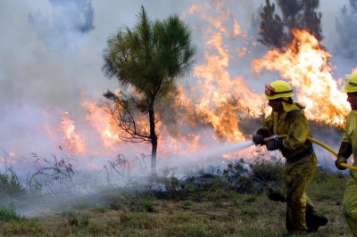 Día Internacional del Combatiente de los Incendios Forestales