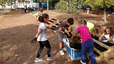 Llega el momento de recoger la cosecha de lo plantado hace meses