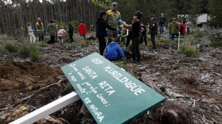 Los 360 equipos Voz Natura de este curso finalizan sus trabajos