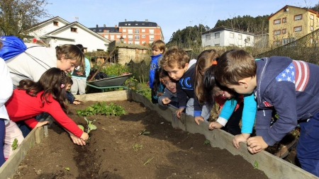 Los escolares lucenses cuidan su entorno con Naturacción