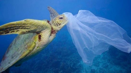 Día Internacional libre de bolsas de plástico