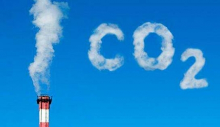 Día Mundial por la Reducción de las Emisiones de CO2