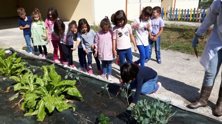 Nuevas plantaciones en el CEIP Monte Baliño