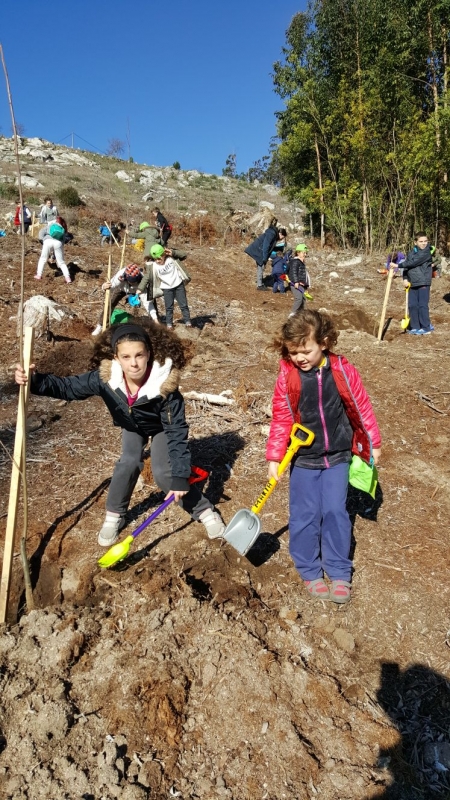 Mil árboles para Santa Trega