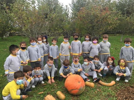 Recogiendo calabazas