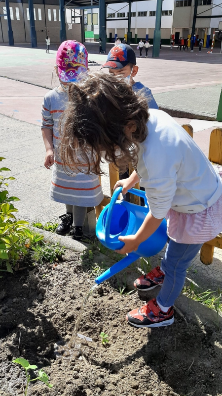 El huerto del CEIP Manuel Respino