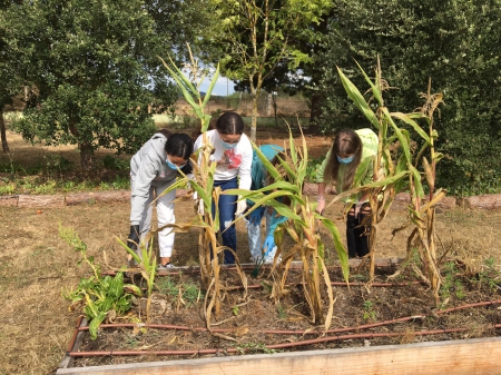 Preparando el terreno