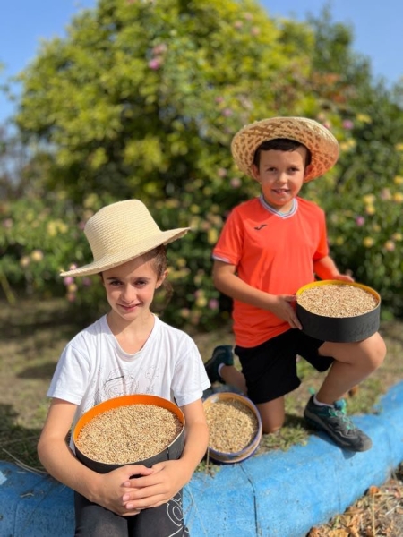 Centeno, maíz y plantas de otoño