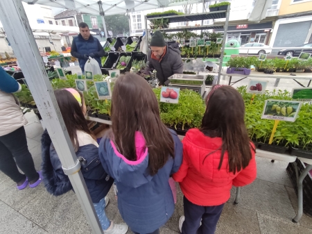 Visita al mercado