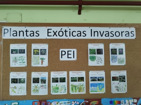 Plantas exóticas invasoras