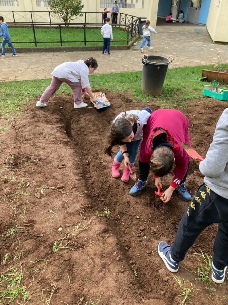 El CEIP Fogar sale a plantar