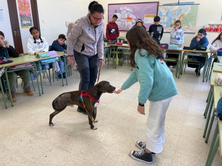 Protexendo a flora e fauna de Marcón