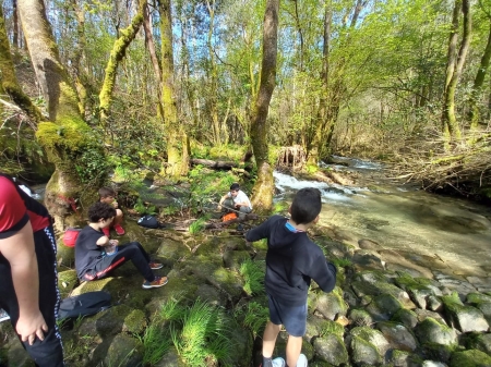 Alumnos de Gondomar investigan su fauna y su flora