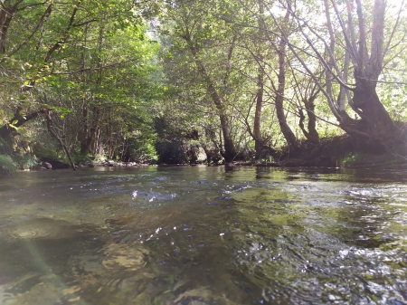 Cuidando el río Lor