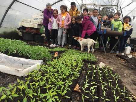 Naturacción vive su décimo aniversario en A Mariña lucense