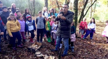 Los productos de otoño llegan a las aulas 