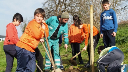 Manos infantiles para los bosques de la Ribeira Sacra