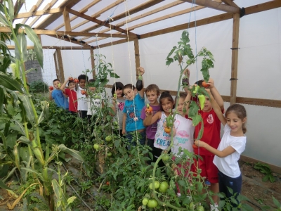 Los patios escolares se transforman en huertos Voz Natura