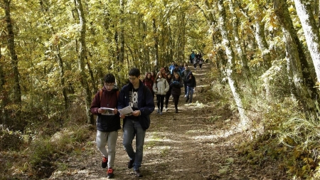 Voz Natura se vuelca en el cuidado de los montes gallegos