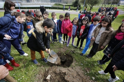 Los trabajos ambientales de este año entran en su recta final