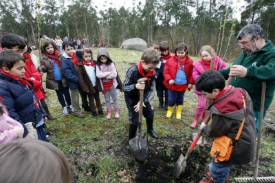 Voz Natura aposta polo bosque tradicional galego