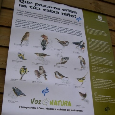 Husqvarna favorece la reproducción de las aves