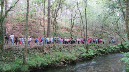 Los escolares de Rianxo se involucran con la reforestación de la zona