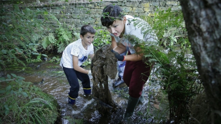 Os colexios unen forzas e colaboran xuntos en Voz Natura