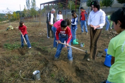 El Comité Científico de Voz Natura destaca la calidad de los trabajos noveles