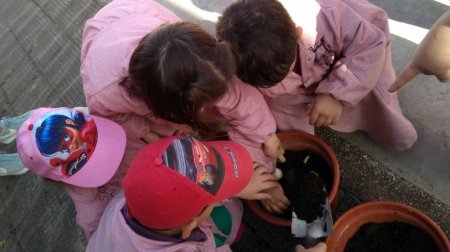 Cultura medioambiental en los centros educativos