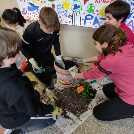 368 centros educativos de Voz Natura promocionan el consumo responsable